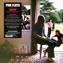 Pink Floyd Soundtrack From The Film More LP 180g Vinyl Remastered Warner  Bernie Grundman 2016 EU - Vinyl Gourmet